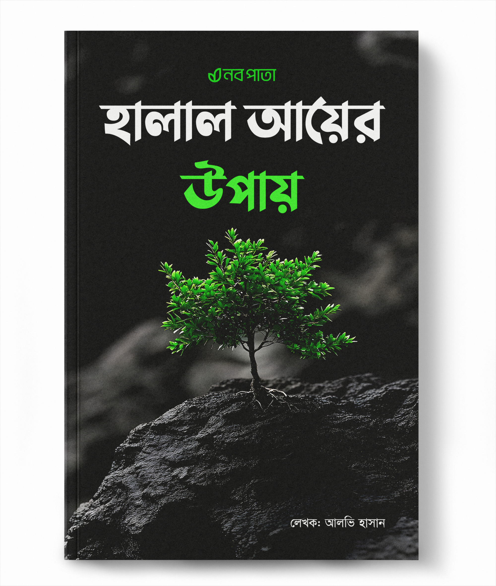 হালাল আয়ের উপায়